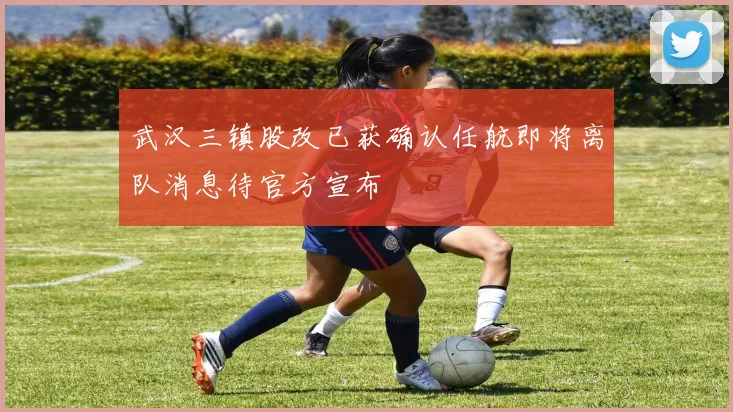 武汉三镇股改已获确认任航即将离队消息待官方宣布
